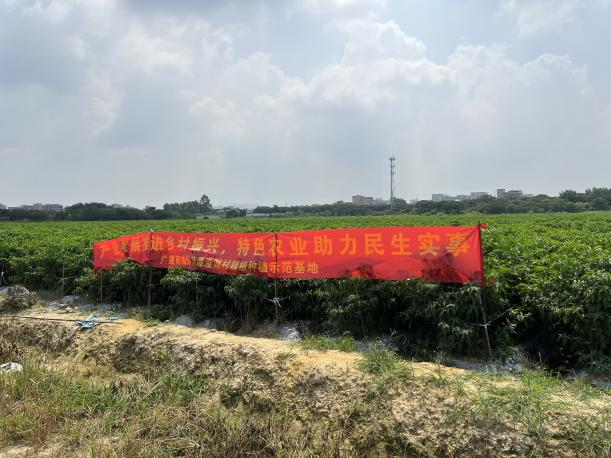 主题教育 | 广州建筑打造种植示范基地，让村民(mín)在家门口实现增收