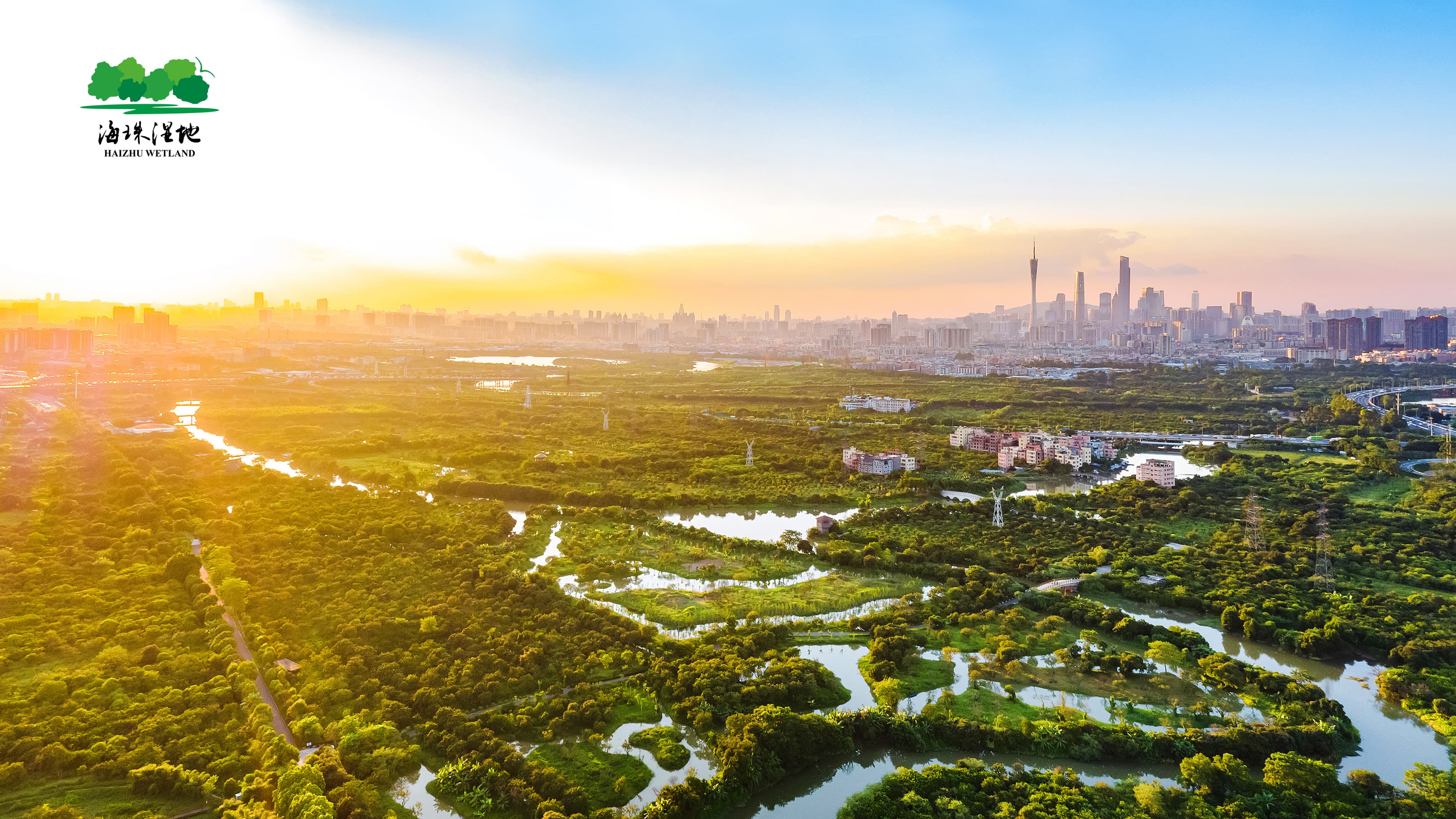 Guangdong Haizhu National Wetland Park Project 